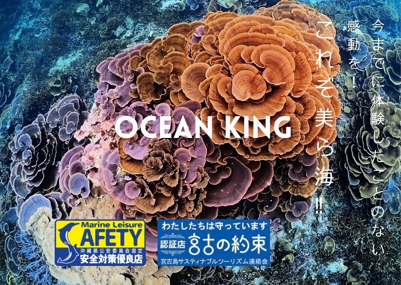 OCEAN KING (旧GRAT!S!SUP)